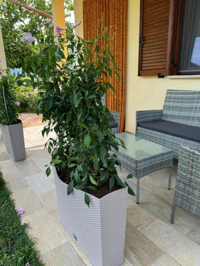 Agriturismo Il Portico Séjour à la ferme *